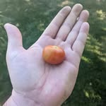 Mark Davisson - @markdavisson1971 - Instagram