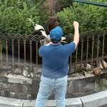 Mark Dawson - @mark.dawson.kr - Instagram