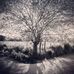 Mark Dear - Facebook