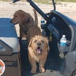 Mark Dearing - @mdearing.dearing - Instagram