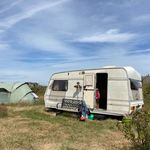 Mark Deer - @markwilliamdeer - Instagram