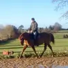 Mark Deering - @mark.deering53 - TikTok
