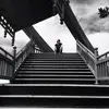 Mark_Deerwester - @Mark_Deerwester - TikTok