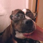 Mark Ma Delano - @mark.delano.906 - Instagram