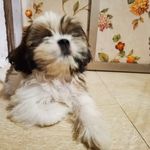 Mark Anthony Delfin Basquez - @markanthonybasquez - Instagram