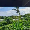 Mark Demas - @mark.demas - TikTok