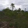 markdemas550 - @markdemas0 - TikTok