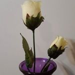Mark Deming - @mark.deming.14 - Instagram