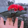 user4974794829694 - @demingoyjohnmark - TikTok