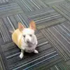 markdemler392 - @markdemler392 - TikTok