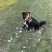 Mark Den - Facebook