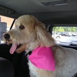 Mark Denman - @denman11917 - Instagram