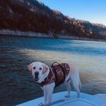 Mark Denney - @mdenney82 - Instagram