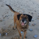 Mark Dent - @markd69 - Instagram