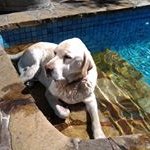 Mark Denton - @denton6729 - Instagram