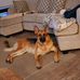 Mark Denton - Facebook