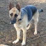 mark de Santo - @mark_man_2005 - Instagram