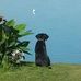 Mark DesLauriers - Facebook