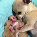 Mark Determan - Facebook