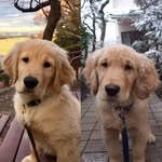 Mark Detrick - @akamarkd - Instagram