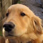 @markdetrick - Instagram