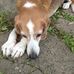 Mark Devolder - Facebook