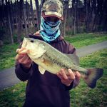 mark dewitt - @md_bass_fishing_ - Instagram