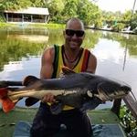 Mark DeWitt - @mark.dewitt.1232 - Instagram