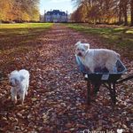 Mark DeWitt - @markdewitt4 - Instagram