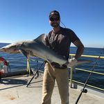 Mark Dewolfe - @markj.dewolfe - Instagram
