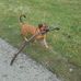 Markus Diedrich - Facebook