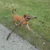 markusdiedrich79 - @markusdiedrich79 - TikTok