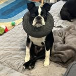 Mark DiFilippo - @difilippo_mark - Instagram