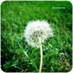 Mark Distefano - @systarks - Instagram