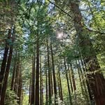 Mark Diver - @m.r.diver - Instagram