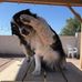Mark Doan - Facebook