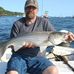 Mark Dodge - Facebook