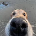Mark Doherty - @mark.doherty.7965 - Instagram