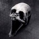 Mark Dökken - @markdokken - Instagram