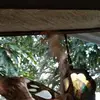 markdolleguis - @markdolleguis - TikTok