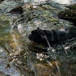 Mark doman - @bulldogdaddy18 - Instagram