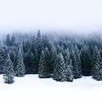Mark Doman - @domanmark - Instagram