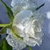 Mark Dominik - @mark.dominik93 - TikTok