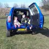 Mark Donnelly747 - @markdonnelly747 - TikTok