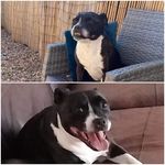 Mark Donnelly - @mark.donnelly.125 - Instagram