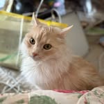 Mark Doody - @doodymarkj - Instagram