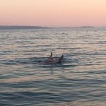 Mark Doolan - @doolan_mark - Instagram