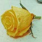 Mark Anthony Doria - @markanthonydoria - Instagram