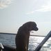 Mark Dorman - Facebook