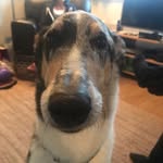 mark dorman - @dorms123 - Instagram